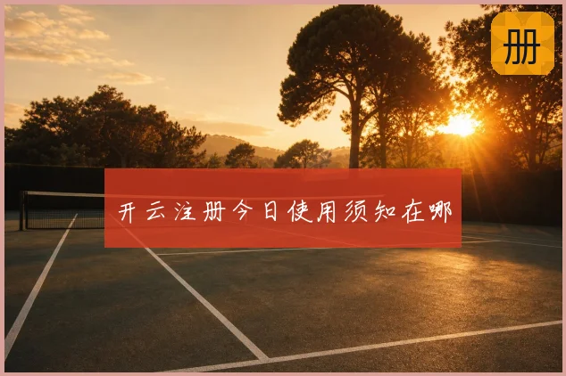 开云注册今日使用须知在哪